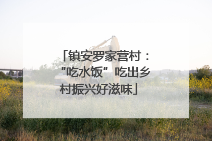 镇安罗家营村：“吃水饭”吃出乡村振兴好滋味