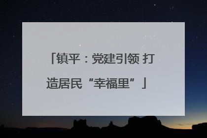 镇平：党建引领 打造居民“幸福里”
