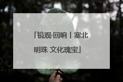 镜观·回响丨塞北明珠 文化瑰宝
