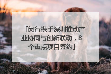 闵行携手深圳推动产业协同与创新联动，8个重点项目签约