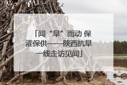 闻“旱”而动 保灌保供——陕西抗旱一线走访见闻