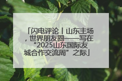 闪电评论丨山东主场，世界朋友圈——写在“2025山东国际友城合作交流周”之际