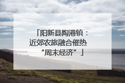 阳新县陶港镇：近郊农旅融合催热“周末经济”