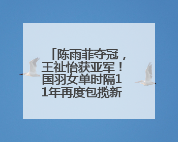陈雨菲夺冠，王祉怡获亚军！国羽女单时隔11年再度包揽新加坡公开赛冠、亚军