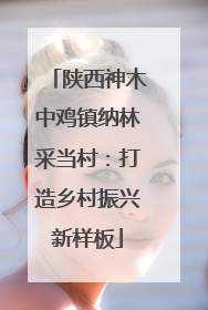 陕西神木中鸡镇纳林采当村：打造乡村振兴新样板