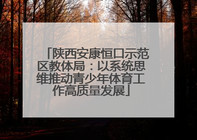 陕西安康恒口示范区教体局：以系统思维推动青少年体育工作高质量发展