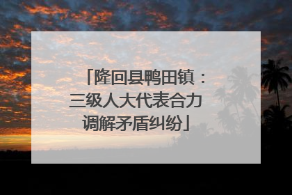 隆回县鸭田镇：三级人大代表合力调解矛盾纠纷