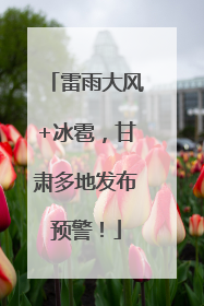 雷雨大风+冰雹，甘肃多地发布预警！