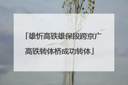 雄忻高铁雄保段跨京广高铁转体桥成功转体