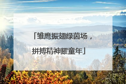 雏鹰振翅绿茵场，拼搏精神耀童年