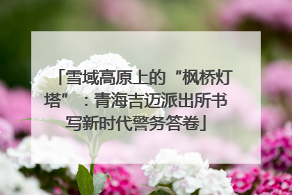 雪域高原上的“枫桥灯塔”：青海吉迈派出所书写新时代警务答卷