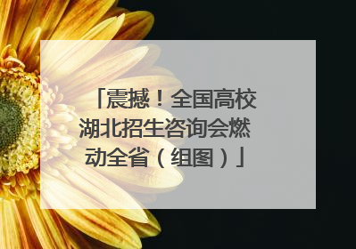 震撼！全国高校湖北招生咨询会燃动全省（组图）