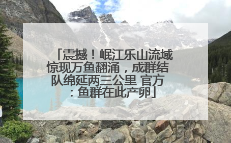 震撼！岷江乐山流域惊现万鱼翻涌，成群结队绵延两三公里 官方：鱼群在此产卵