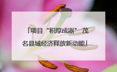 项目“积厚成器” 茂名县域经济释放新动能