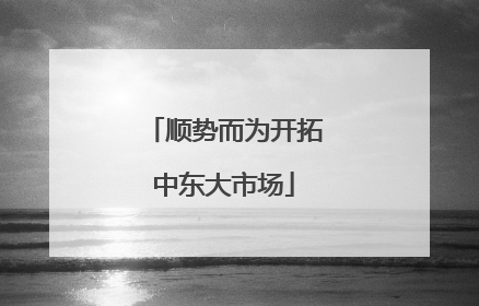顺势而为开拓中东大市场