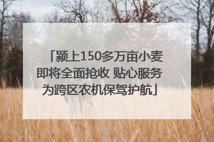 颍上150多万亩小麦即将全面抢收 贴心服务为跨区农机保驾护航
