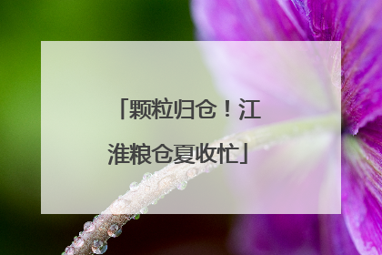 颗粒归仓！江淮粮仓夏收忙