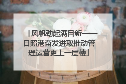 风帆劲起满目新——日照港奋发进取推动管理运营更上一层楼