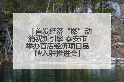 首发经济“燃”动消费新引擎 泰安市举办首店经济项目品牌入驻推进会