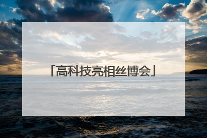 高科技亮相丝博会