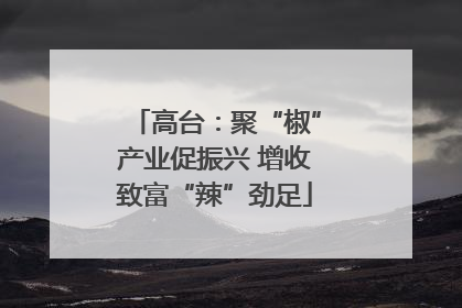 高台：聚“椒”产业促振兴 增收致富“辣”劲足