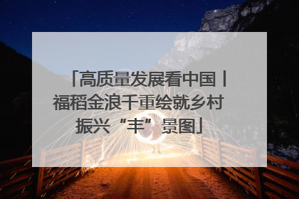 高质量发展看中国丨福稻金浪千重绘就乡村振兴“丰”景图