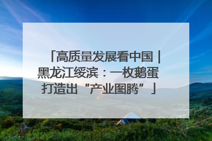 高质量发展看中国｜黑龙江绥滨：一枚鹅蛋打造出“产业图腾”