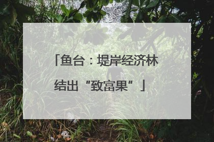 鱼台：堤岸经济林结出“致富果”