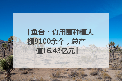 鱼台：食用菌种植大棚8100余个，总产值16.43亿元
