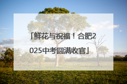 鲜花与祝福！合肥2025中考圆满收官