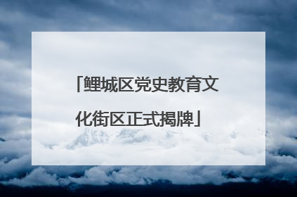 鲤城区党史教育文化街区正式揭牌