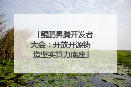 鲲鹏昇腾开发者大会：开放开源铸造坚实算力底座