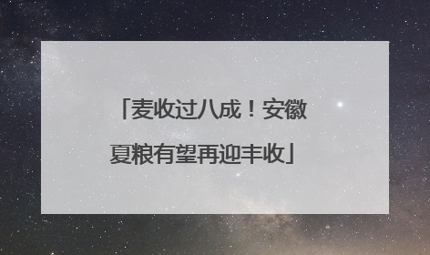 麦收过八成！安徽夏粮有望再迎丰收