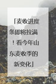 麦收进度条即将拉满！看今年山东麦收季的新变化