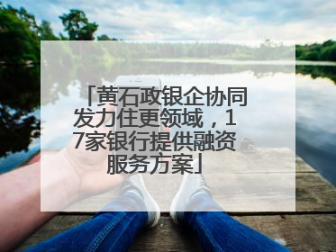 黄石政银企协同发力住更领域，17家银行提供融资服务方案