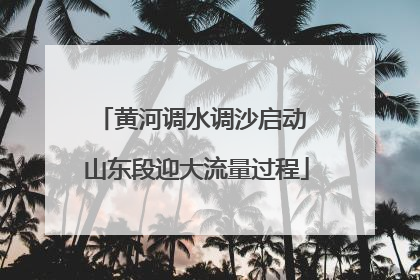 黄河调水调沙启动 山东段迎大流量过程