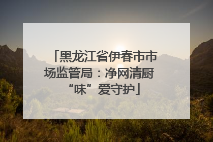黑龙江省伊春市市场监管局：净网清厨 “味”爱守护