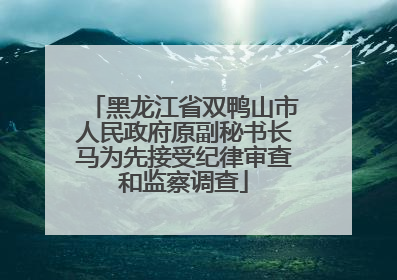 黑龙江省双鸭山市人民政府原副秘书长马为先接受纪律审查和监察调查