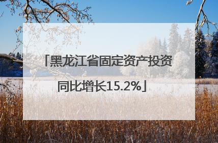 黑龙江省固定资产投资同比增长15.2%