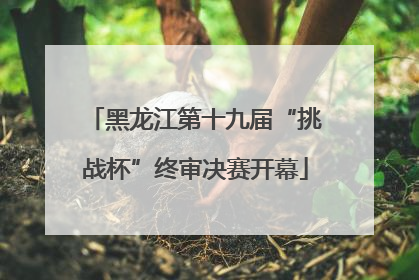 黑龙江第十九届“挑战杯”终审决赛开幕