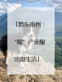 黔东南州：“酸”产业酿出甜生活
