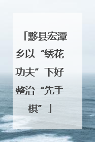 黟县宏潭乡以“绣花功夫”下好整治“先手棋”