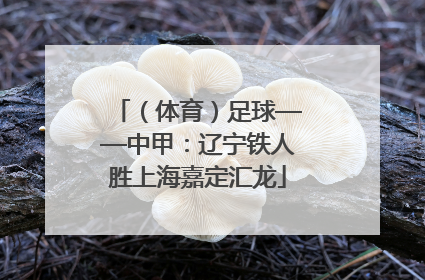 （体育）足球——中甲：辽宁铁人胜上海嘉定汇龙