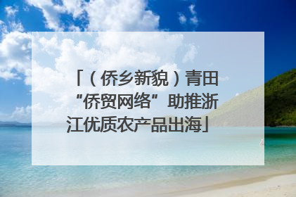 （侨乡新貌）青田“侨贸网络”助推浙江优质农产品出海
