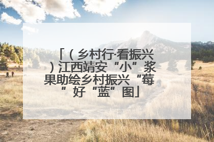 （乡村行·看振兴）江西靖安“小”浆果助绘乡村振兴“莓”好“蓝”图