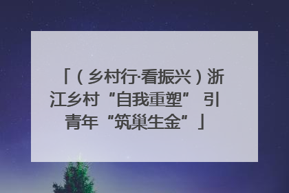 （乡村行·看振兴）浙江乡村“自我重塑” 引青年“筑巢生金”