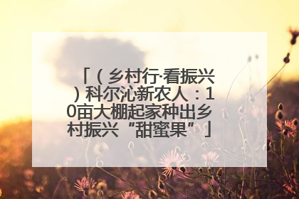 （乡村行·看振兴）科尔沁新农人：10亩大棚起家种出乡村振兴“甜蜜果”