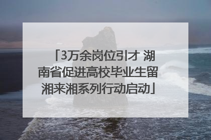 3万余岗位引才 湖南省促进高校毕业生留湘来湘系列行动启动