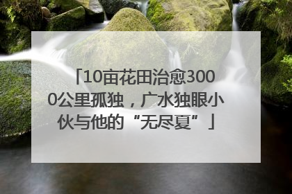 10亩花田治愈3000公里孤独，广水独眼小伙与他的“无尽夏”