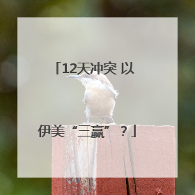 12天冲突 以伊美“三赢”？